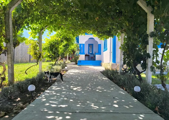 Casa Traditionala Clisciova