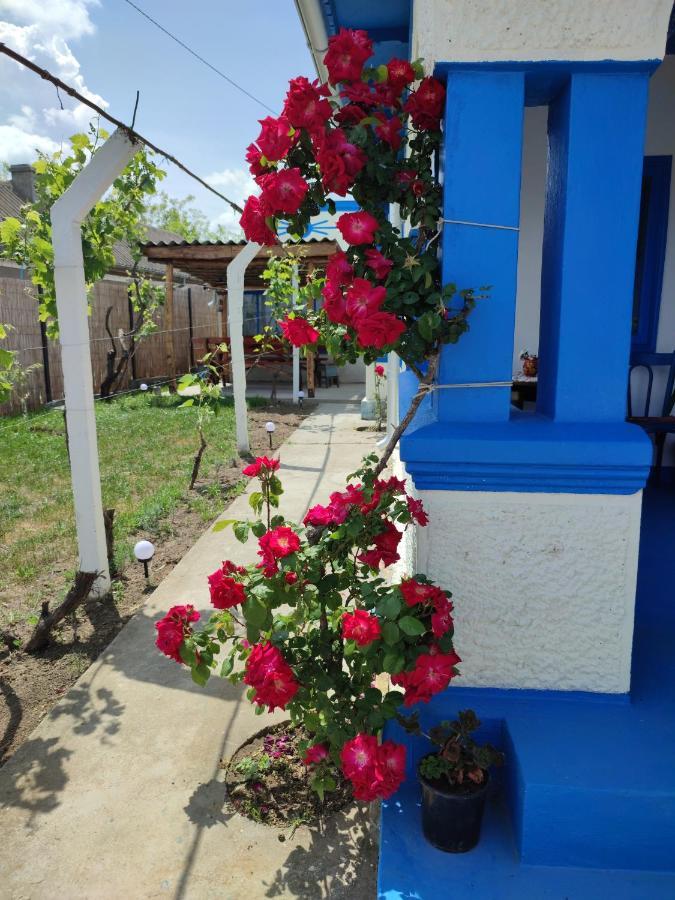 Casa Traditionala Clisciova Casa rural